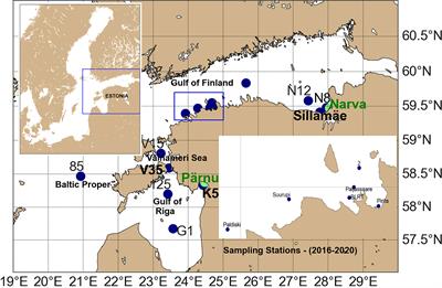 Spatiotemporal Variability of Microplastics in the Eastern Baltic Sea